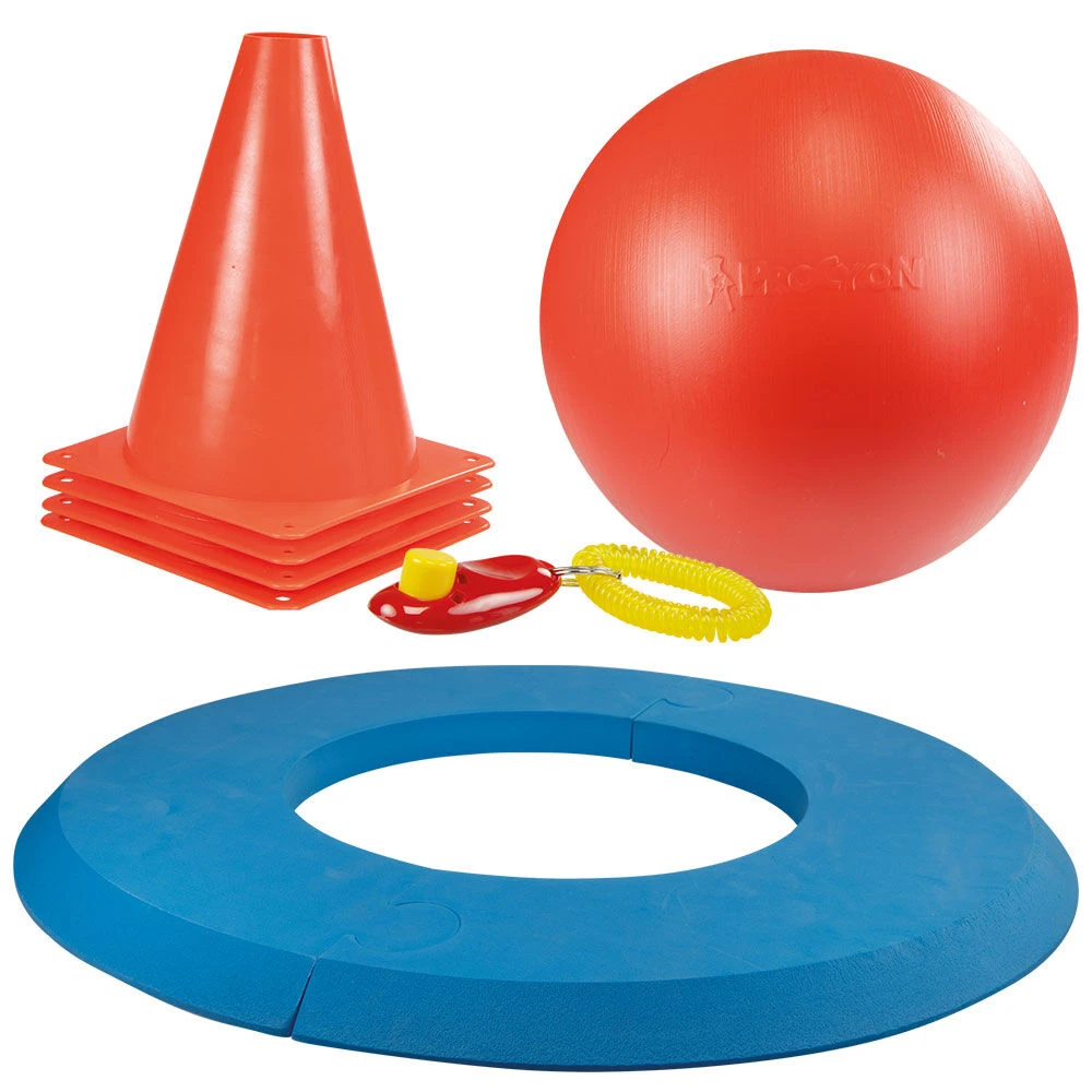 Hondengolf (doggie Golf Basisset) - Image 2