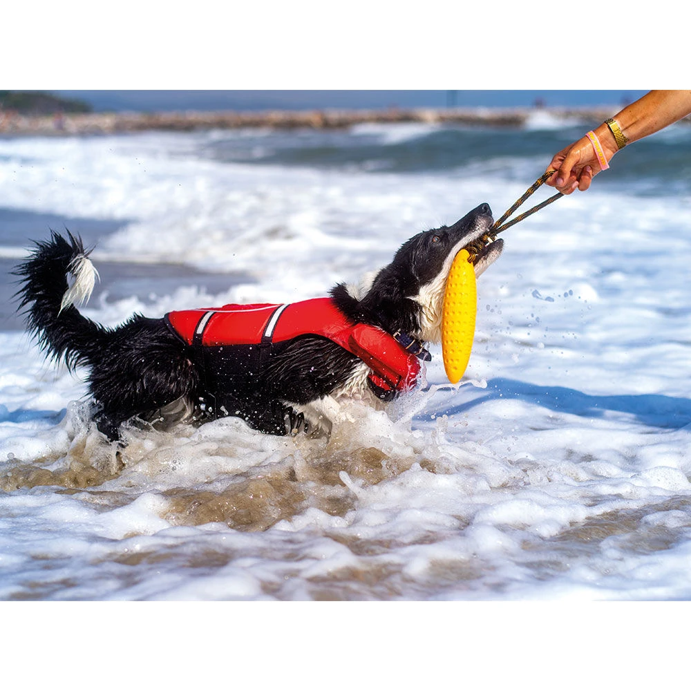 Kiwi Walker Zeppelin - Image 2