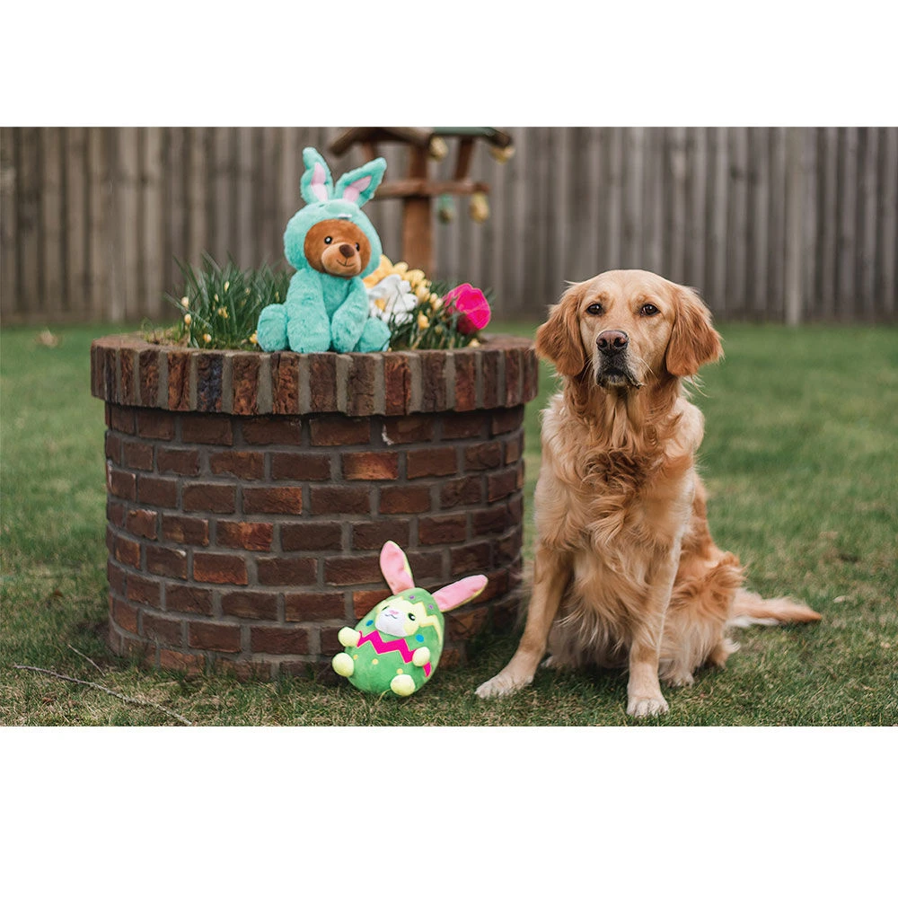 Konijn In Ei - Image 4