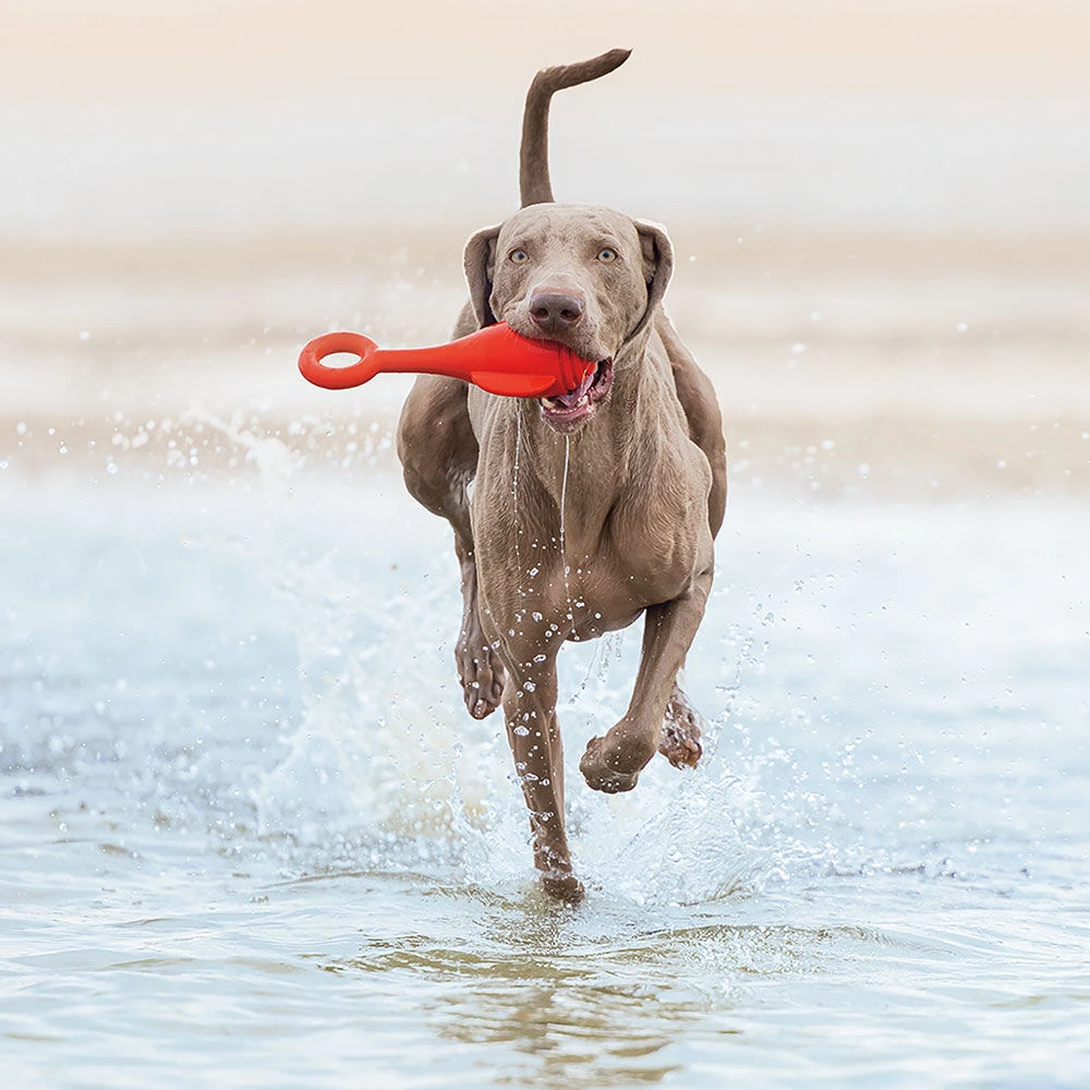 Werpspeelgoed Boei - Image 3