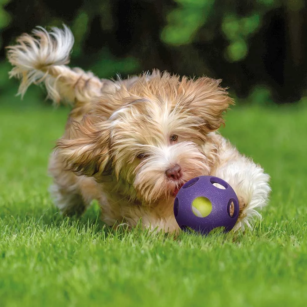 Karlie Asteroid Ball - Image 2