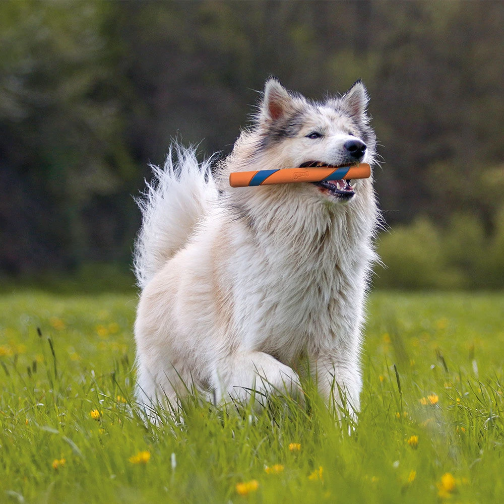 ChuckIt Ultra Fetch Stick - Image 3