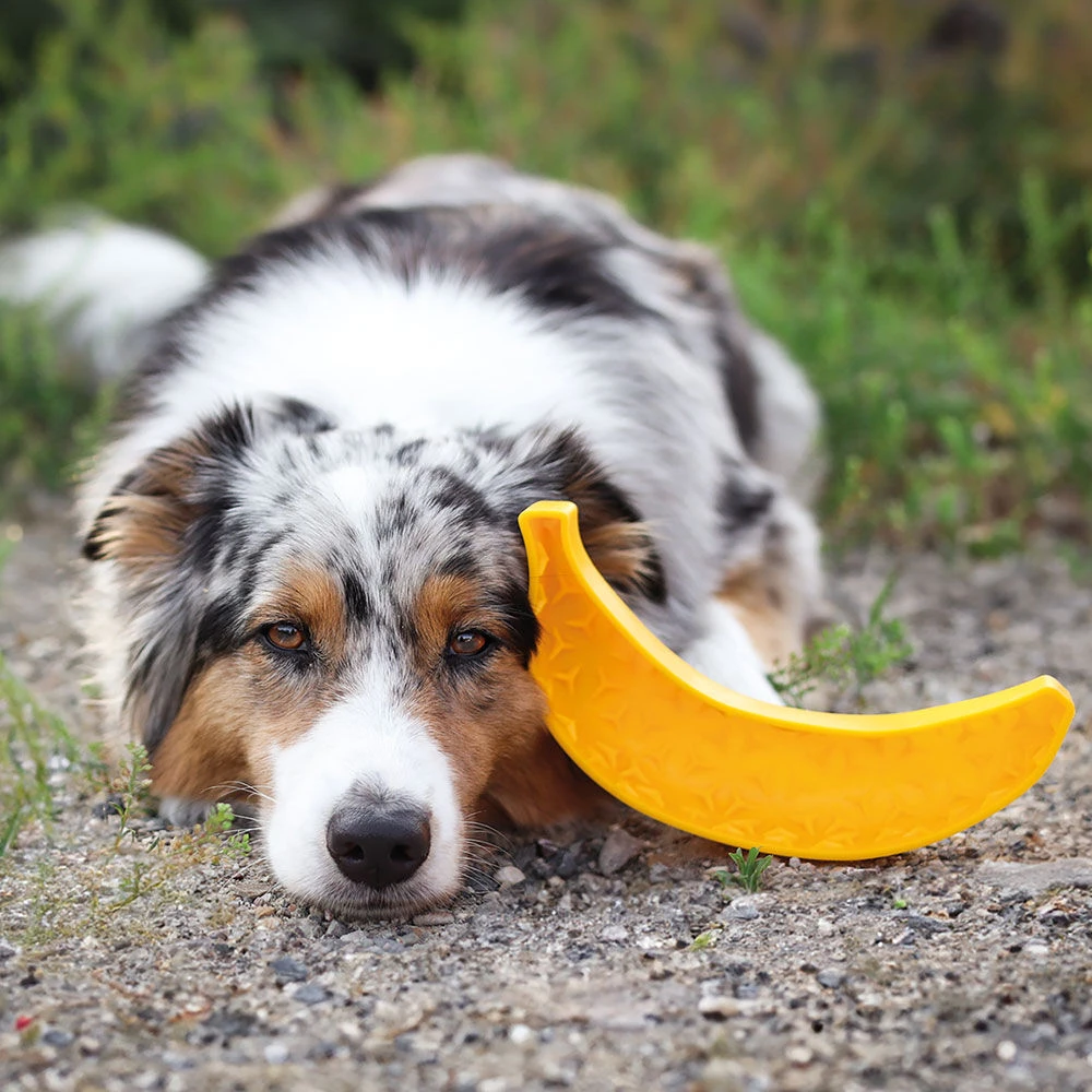 Likspeeltje - Image 5