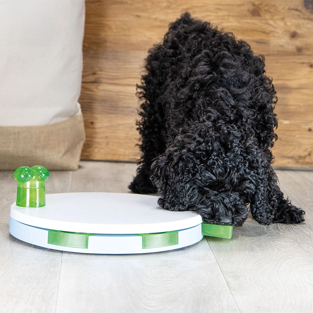 Beeztees Intelligentiespeeltje Seeky - Image 4