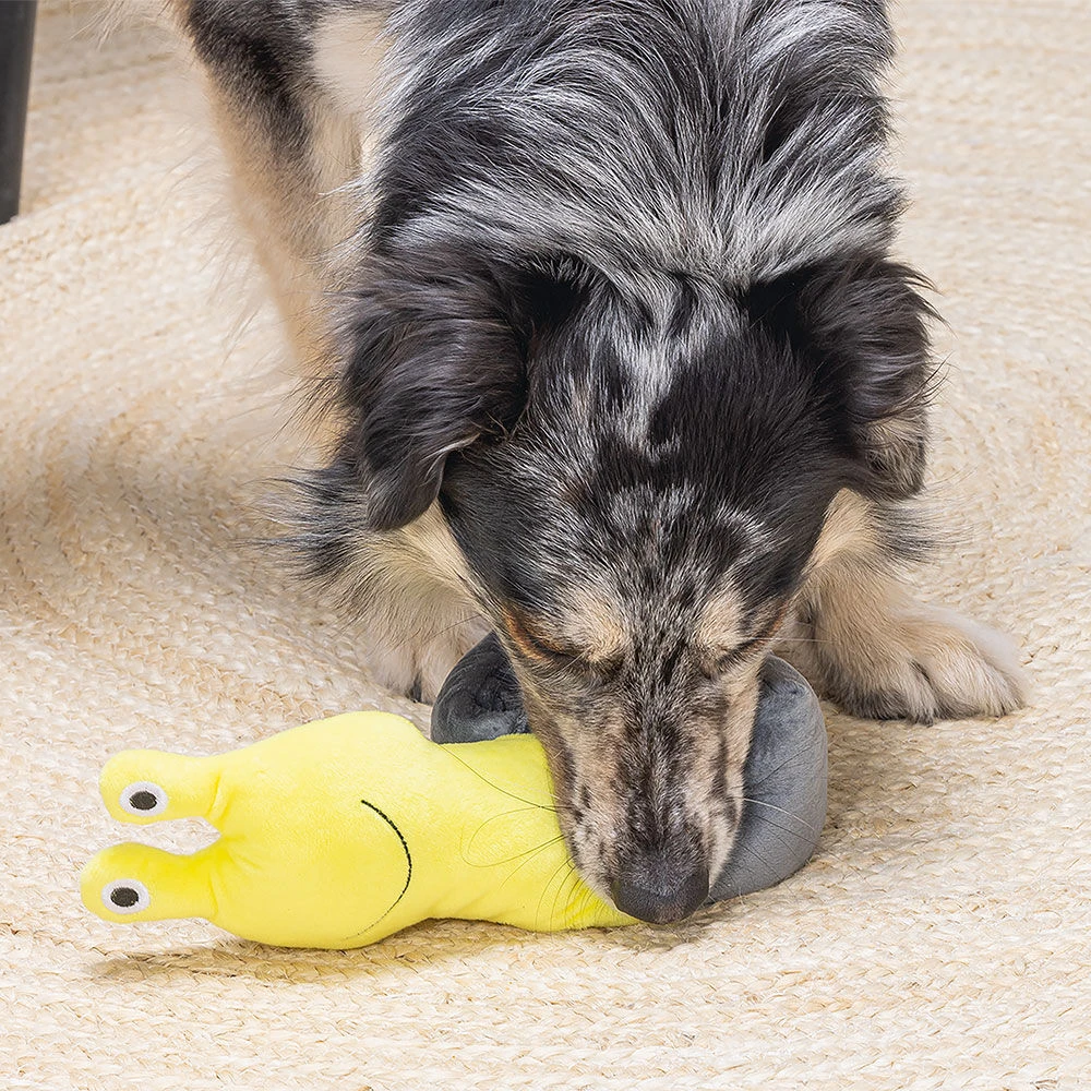 Beeztees Verstoppertje Speelgoed - Image 4