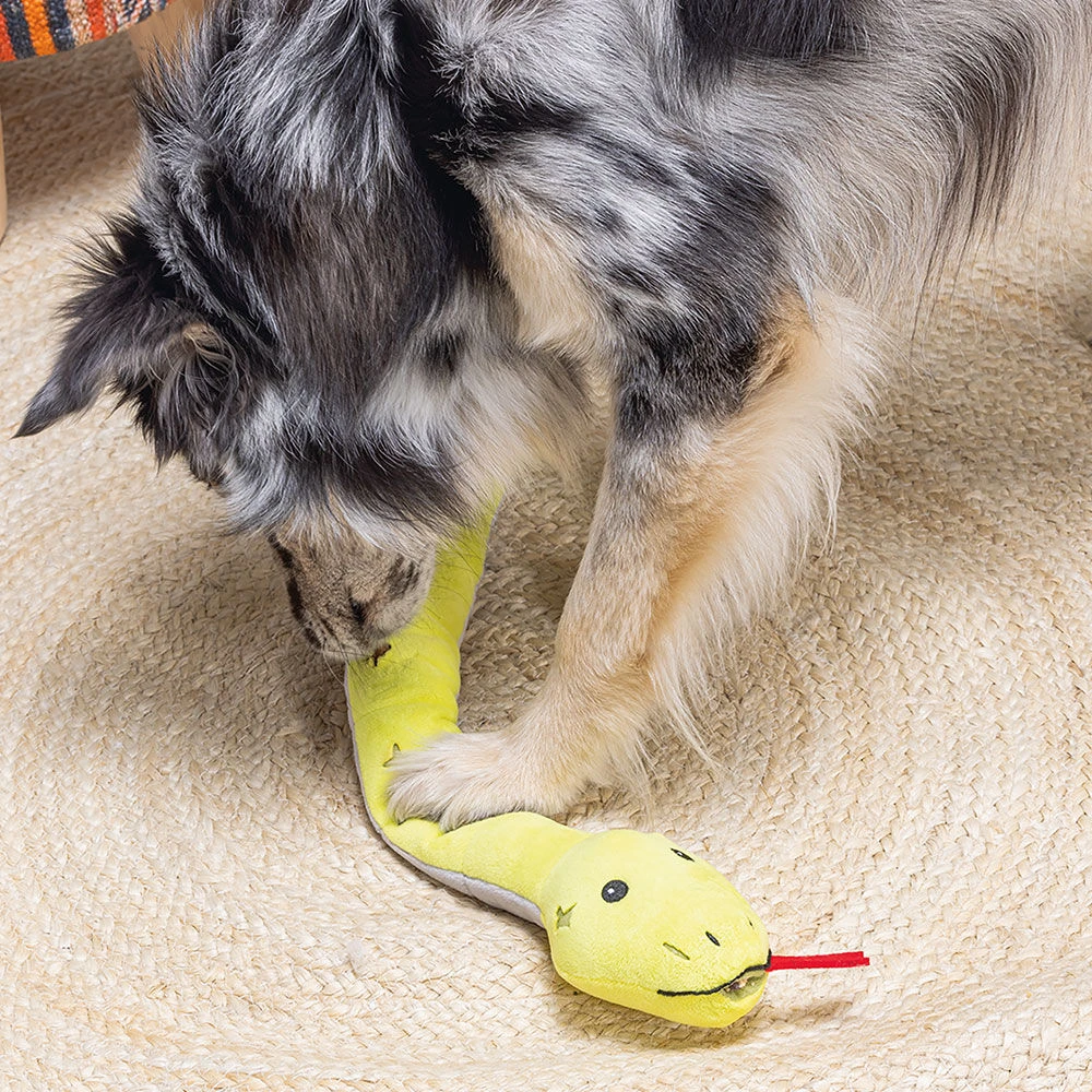 Beeztees Verstoppertje Speelgoed - Image 5