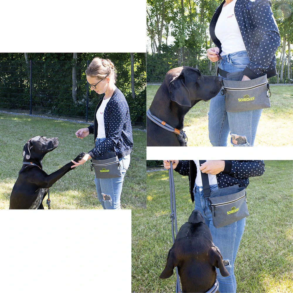 Schecker Trainingstas MULTI - Image 4