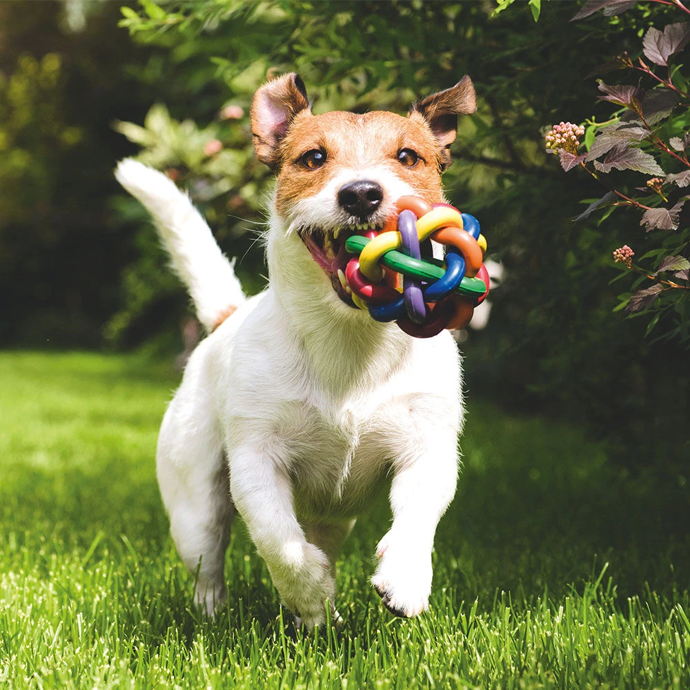 Trixie Knoopbal - Image 2