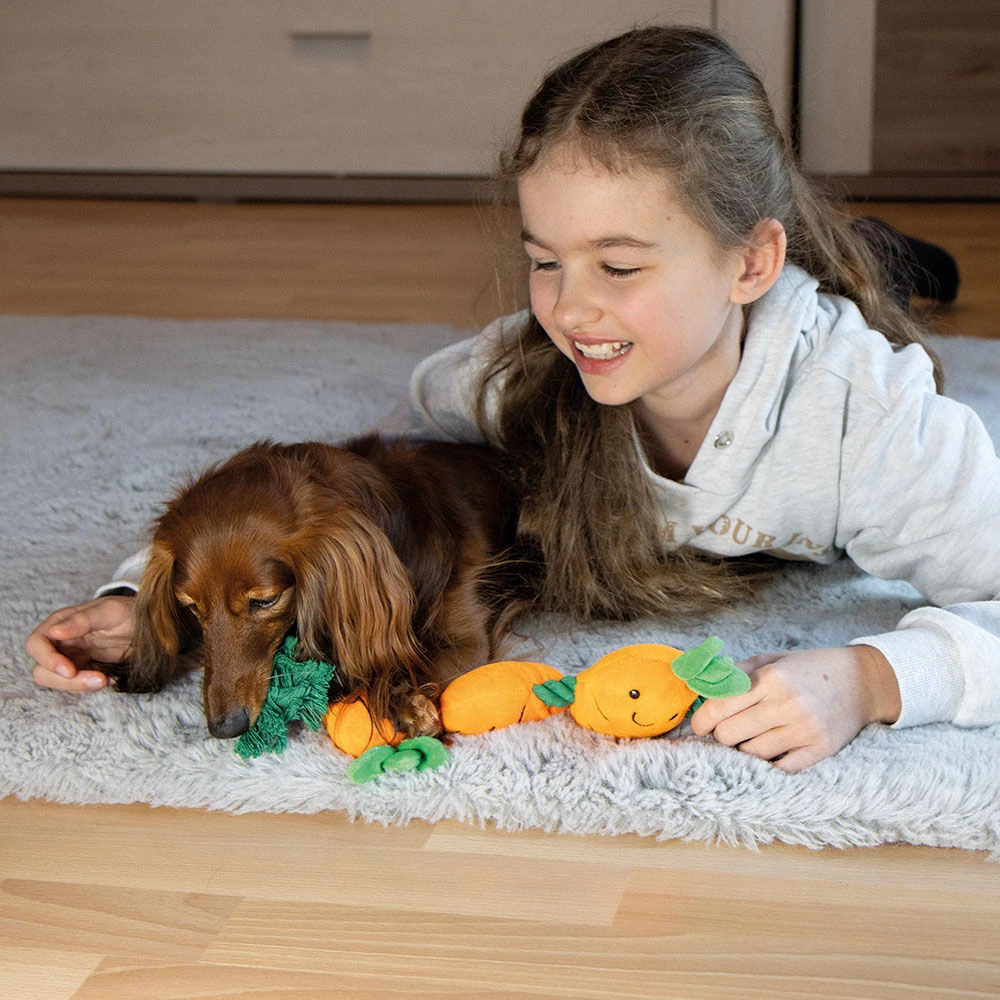 Pluchen Wortel Met Touw - Image 2