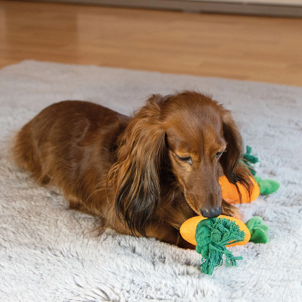 Pluchen Wortel Met Touw - Image 5