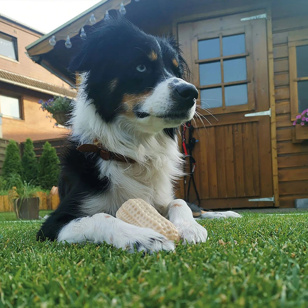 Geurende TPR Pinda - Image 4