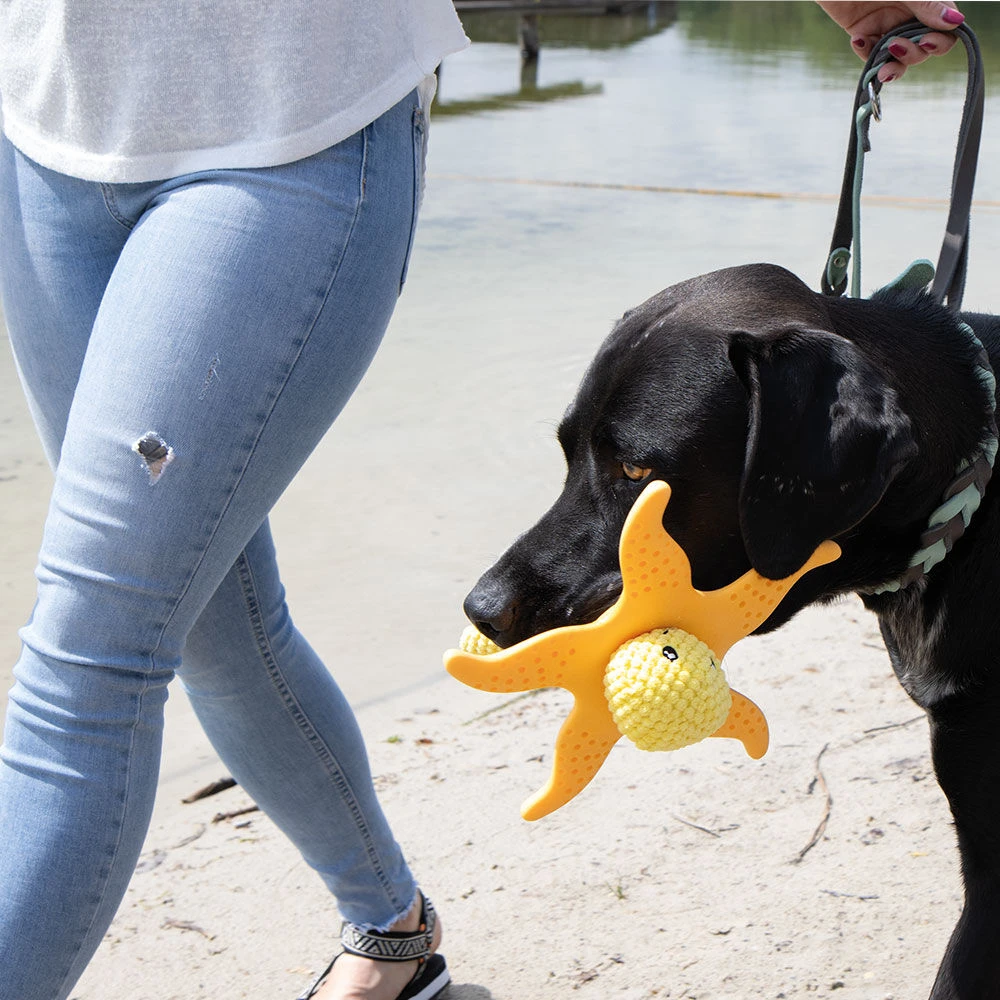 KIWI WALKER® Octopus & Zeester - Image 3