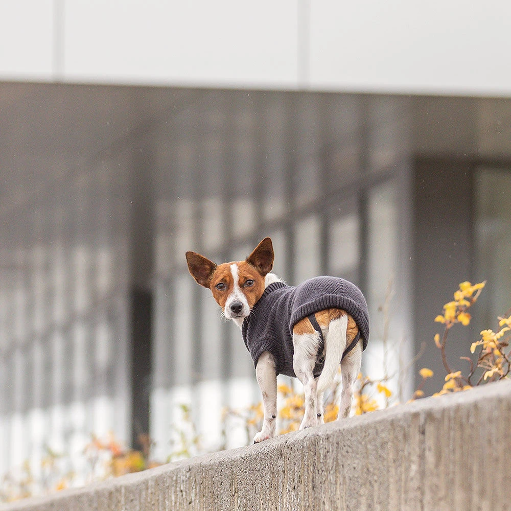 Hondentrui CityStyle Berlin - Image 2