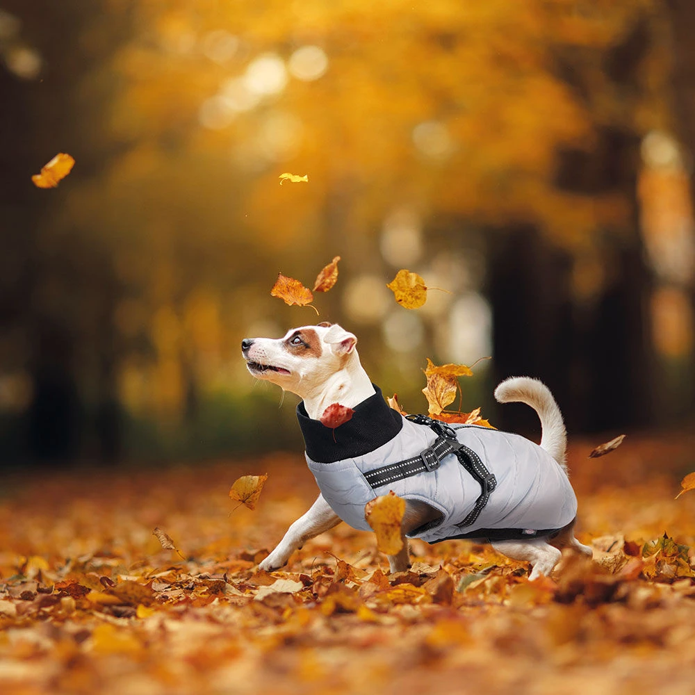 Trixie Hondentuigjas Pontis - Image 2