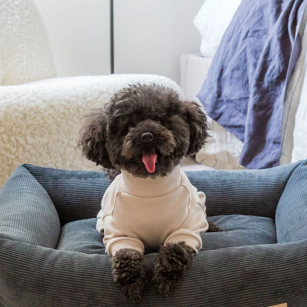 FuzzYard LIFE Soft Touch-hondenpyjama - Image 3