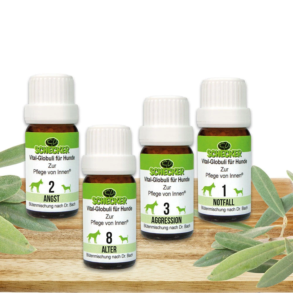 Schecker Vital Globuli - Image 5
