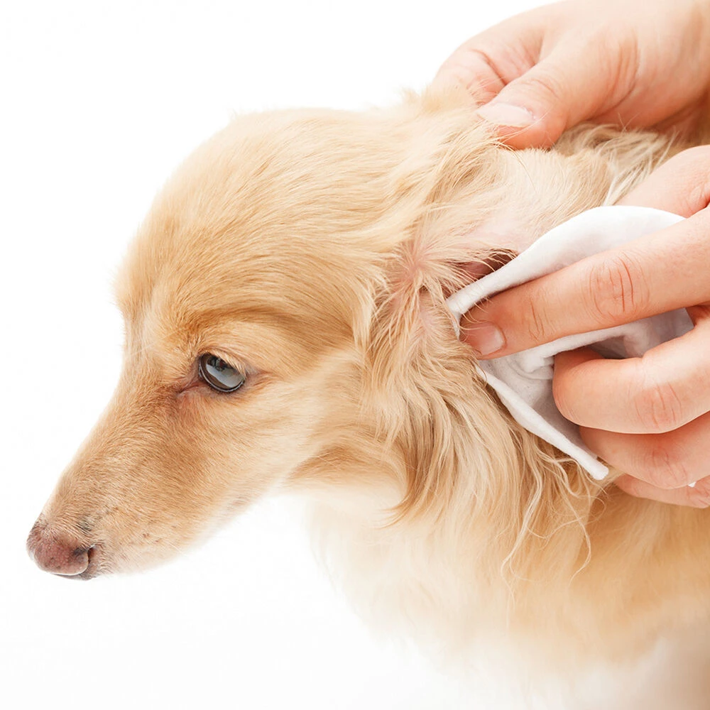 Oorverzorgings-set - Image 2