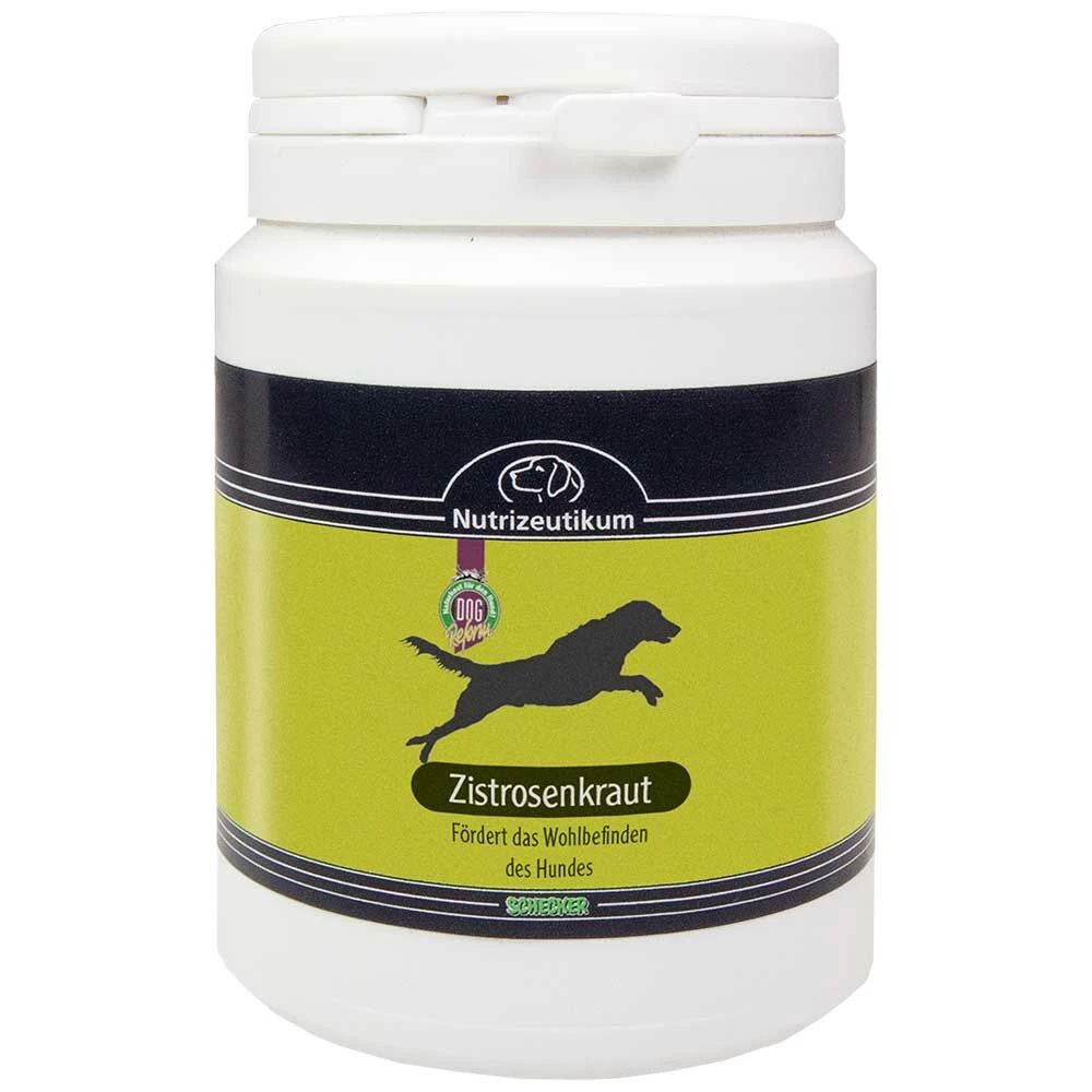 Cistus Incanus - Image 4