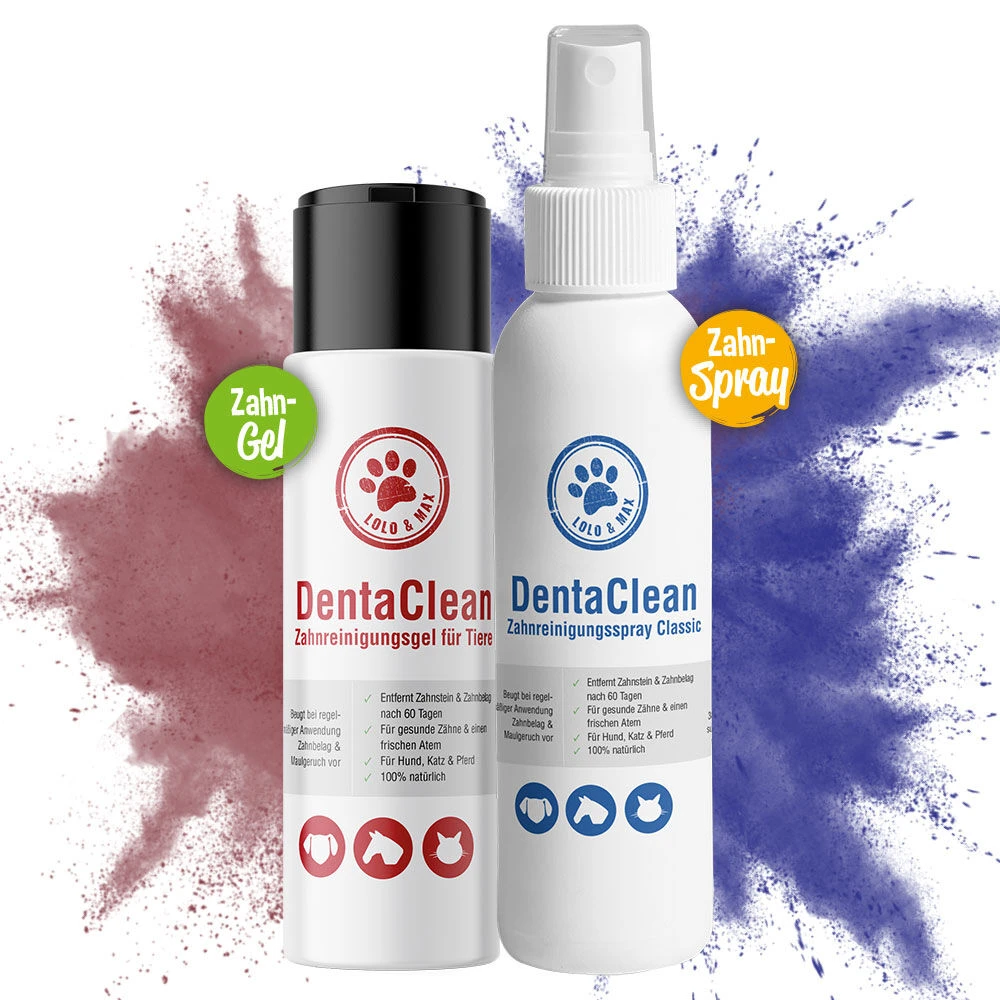 Denta Clean Gebitsreiniging - Image 2