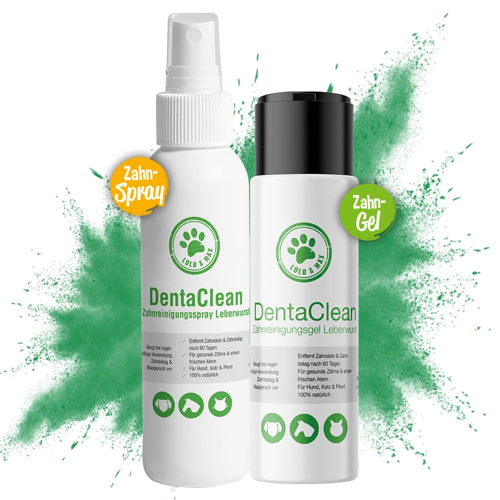 Denta Clean Gebitsreiniging - Image 3