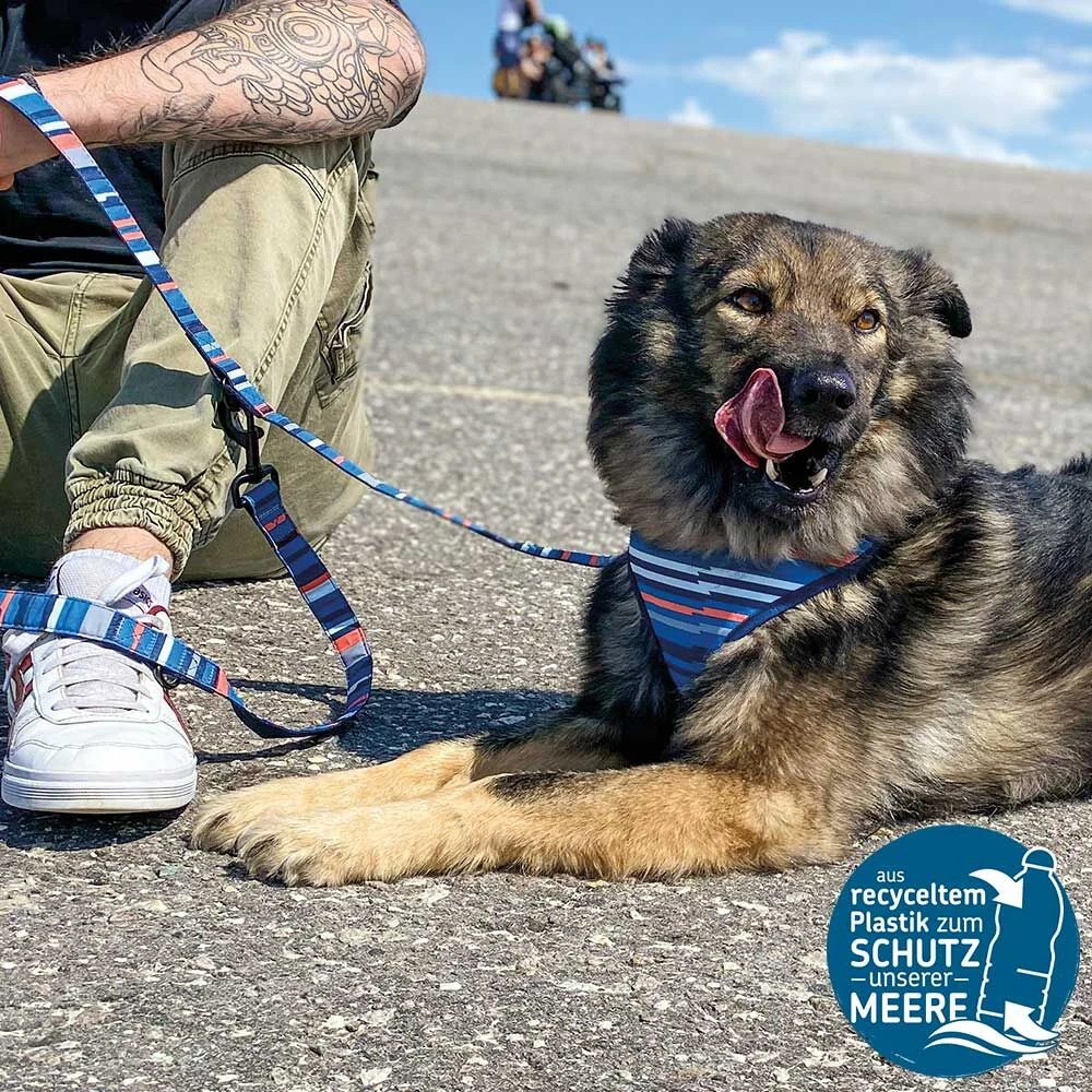 SOS Hondenriem - Image 3