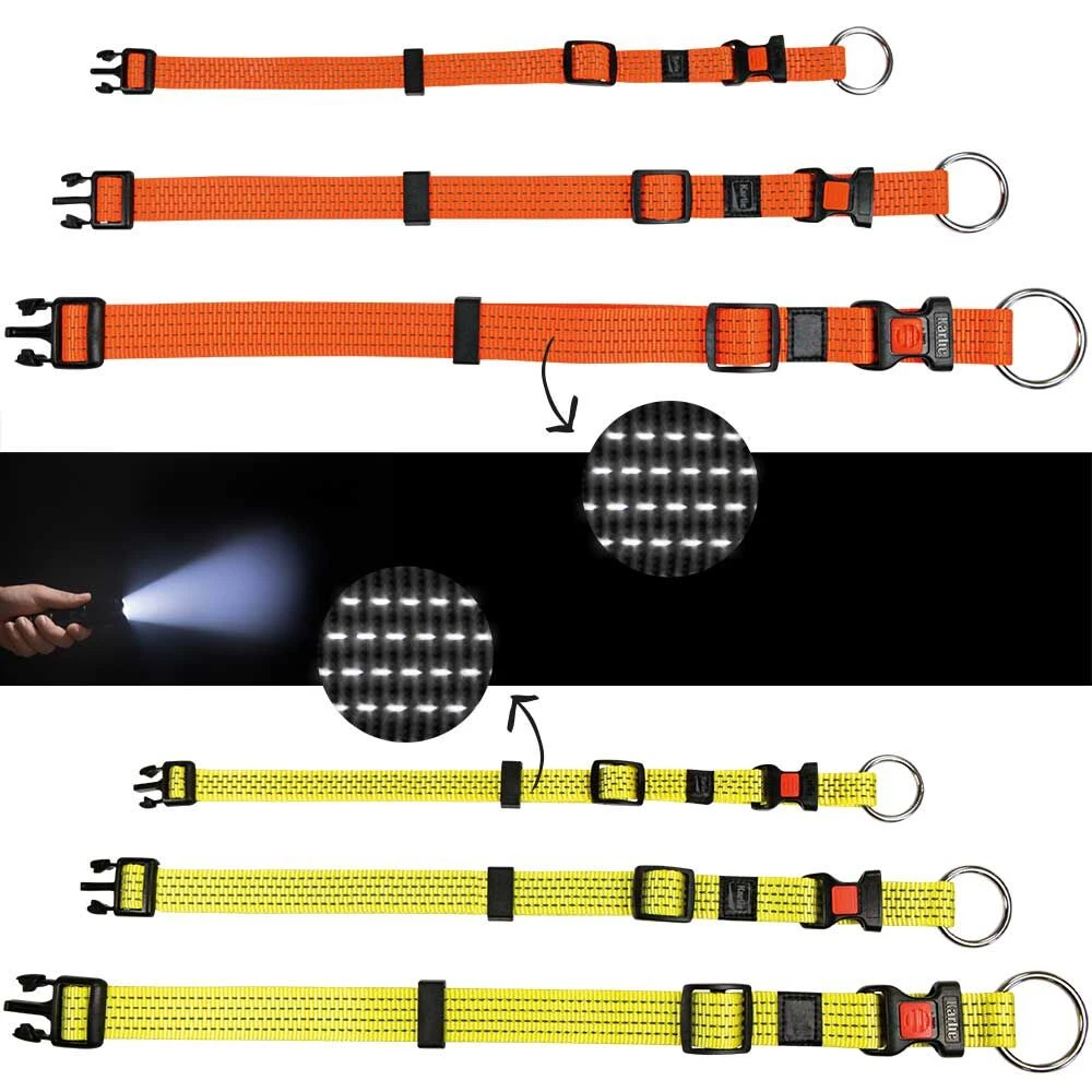 Neon & Reflex Hondenhalsband - Image 2