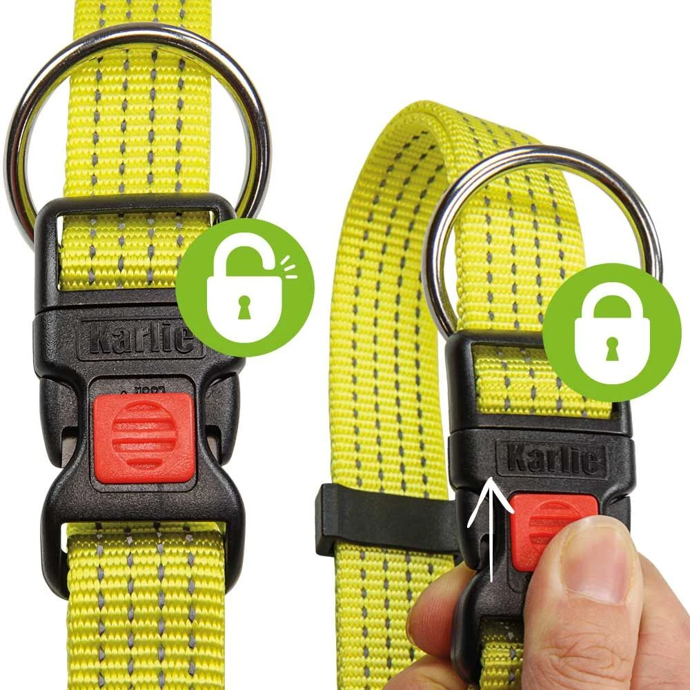 Neon & Reflex Hondenhalsband - Image 3