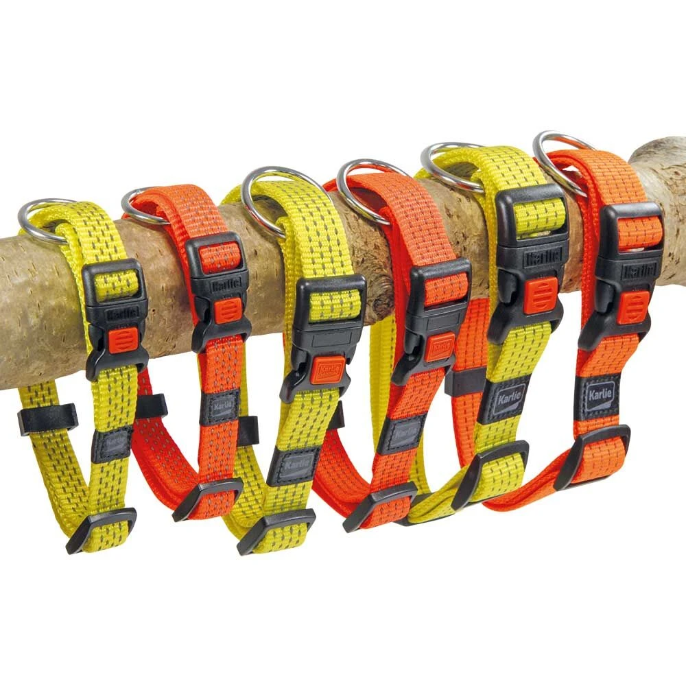 Neon & Reflex Hondenhalsband - Image 5