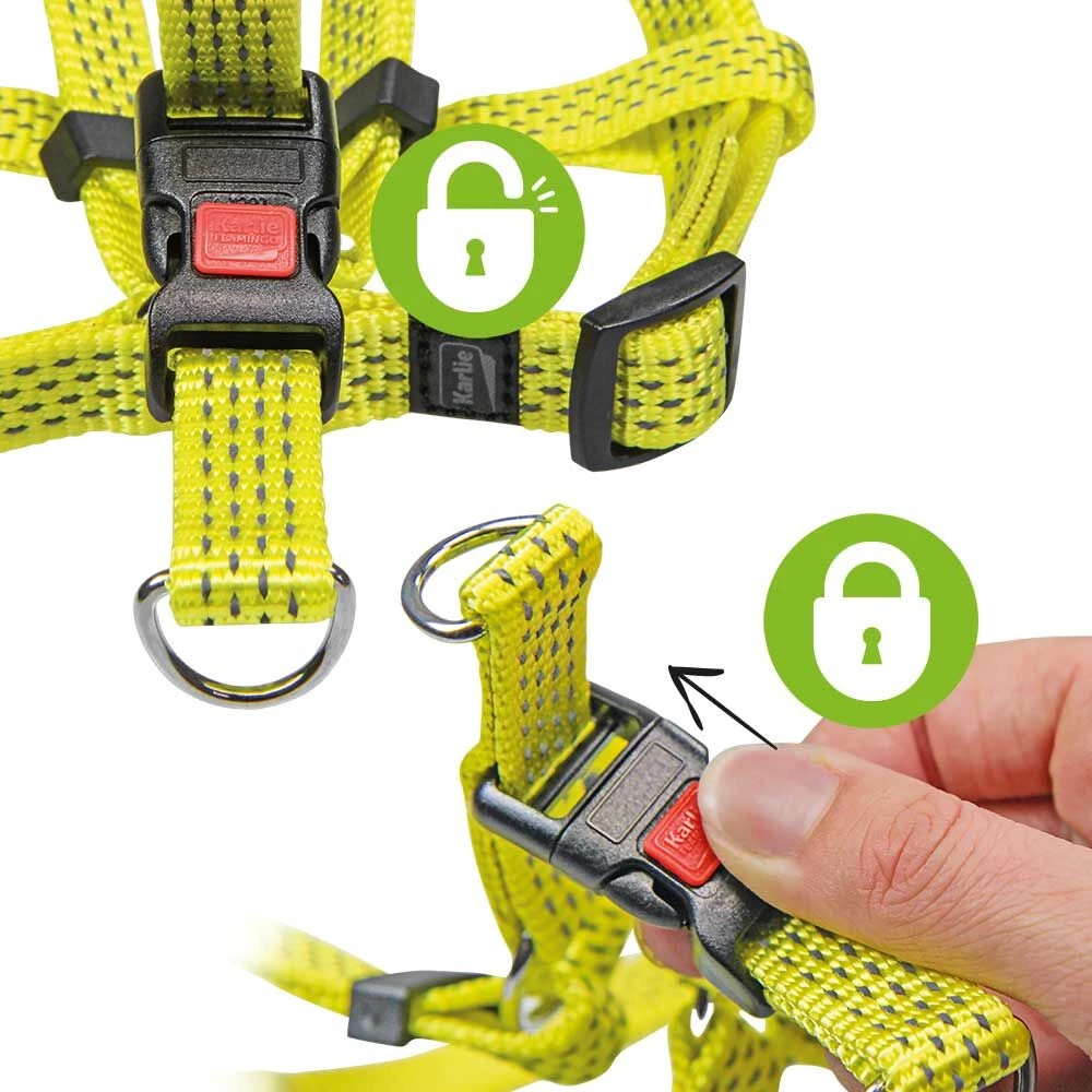 Neon & Reflex Hondentuigje - Image 4