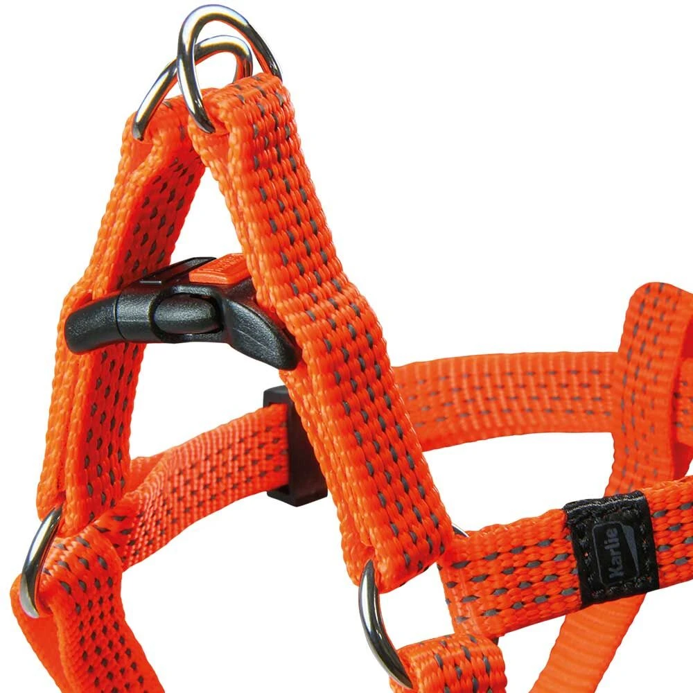 Neon & Reflex Hondentuigje - Image 5