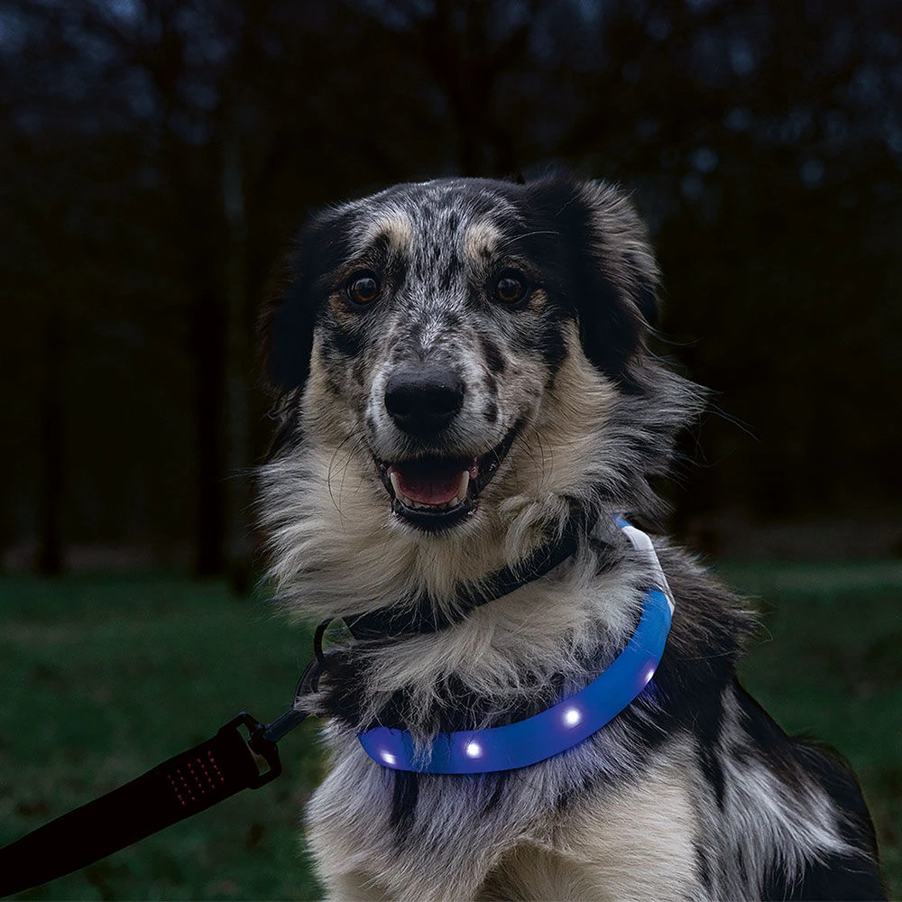 Beeztees Led-halsband Glowy Langhaar - Image 3