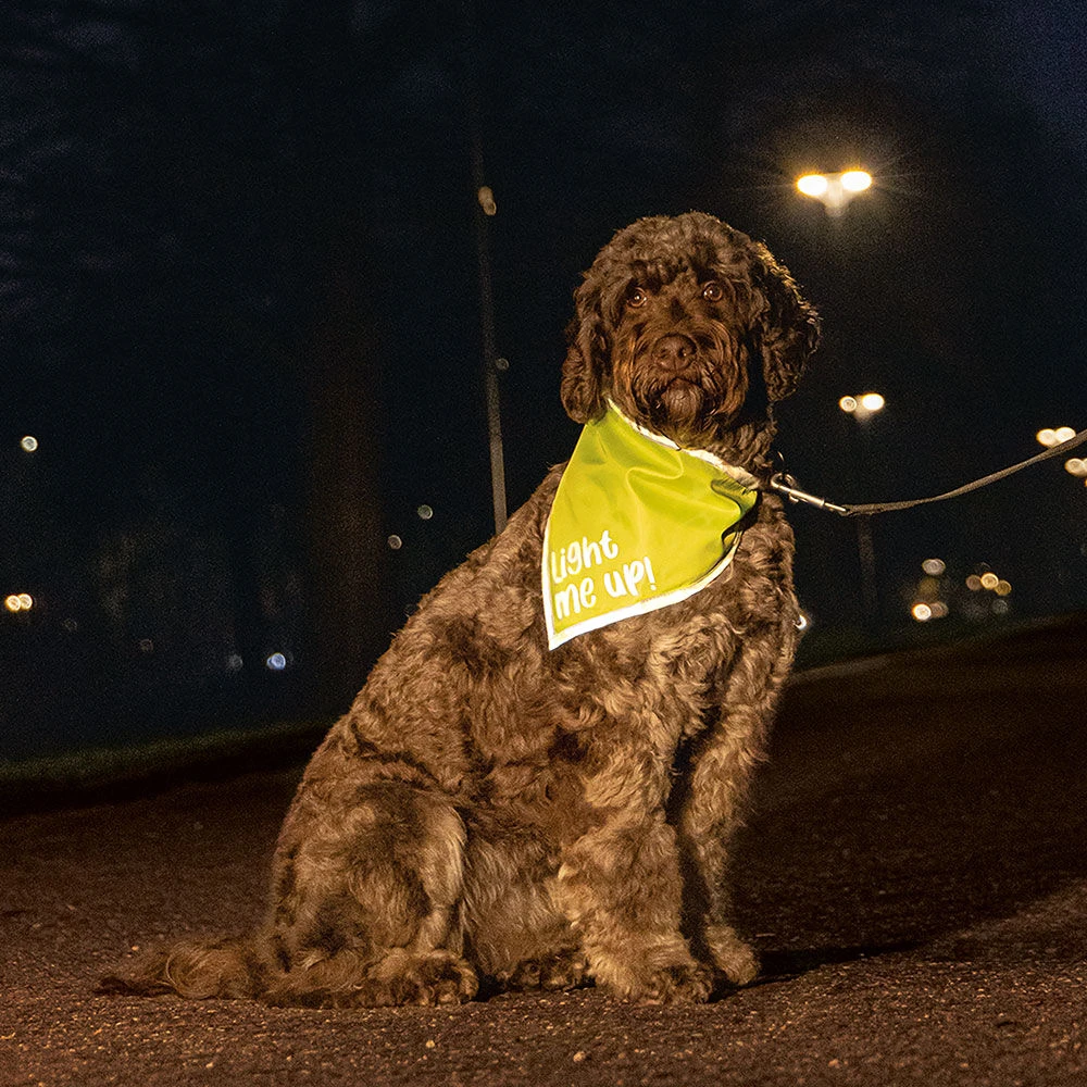 Beeztees Hondenveiligheidssjaaltje Chiny - Image 2