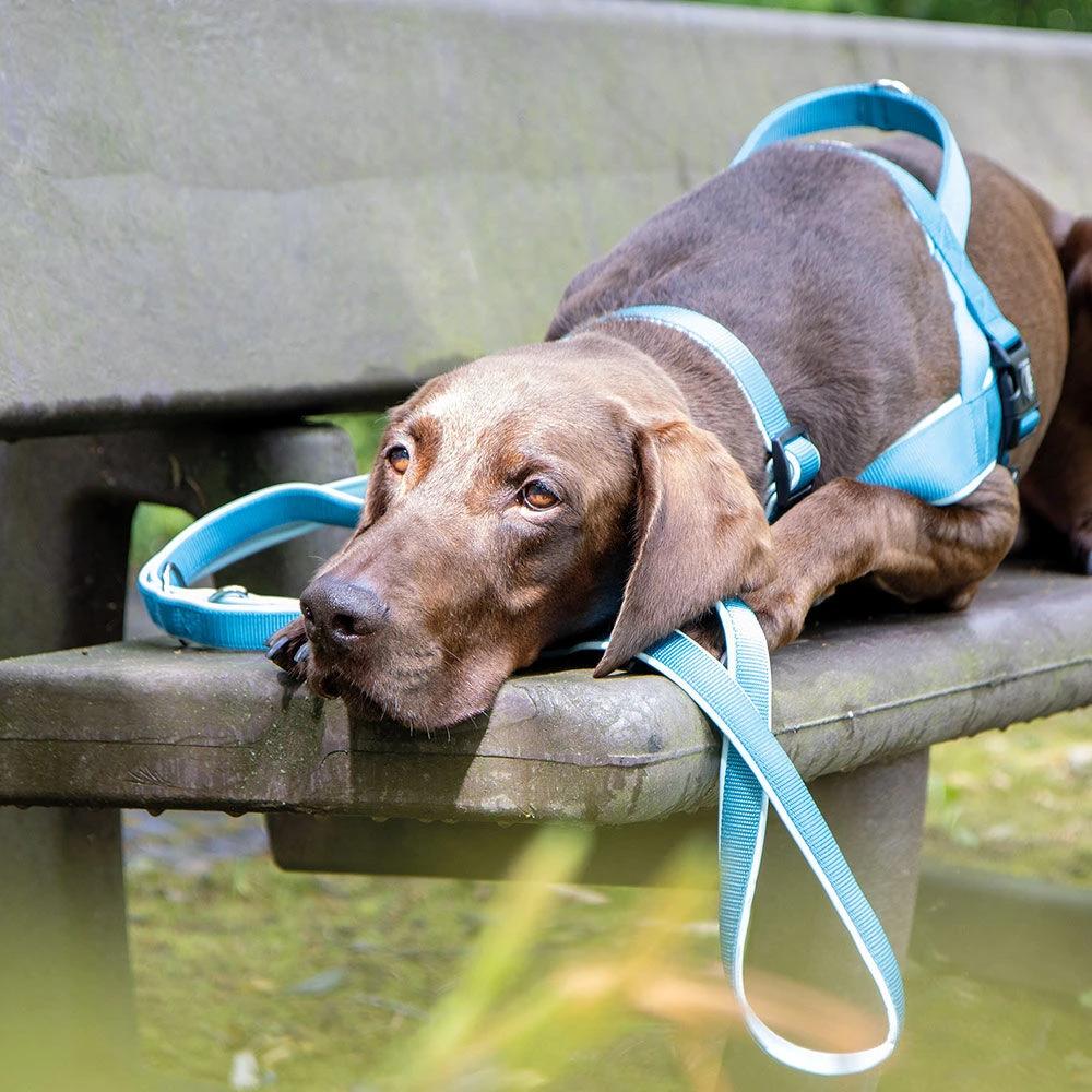 Riem Classic Preno - Image 4