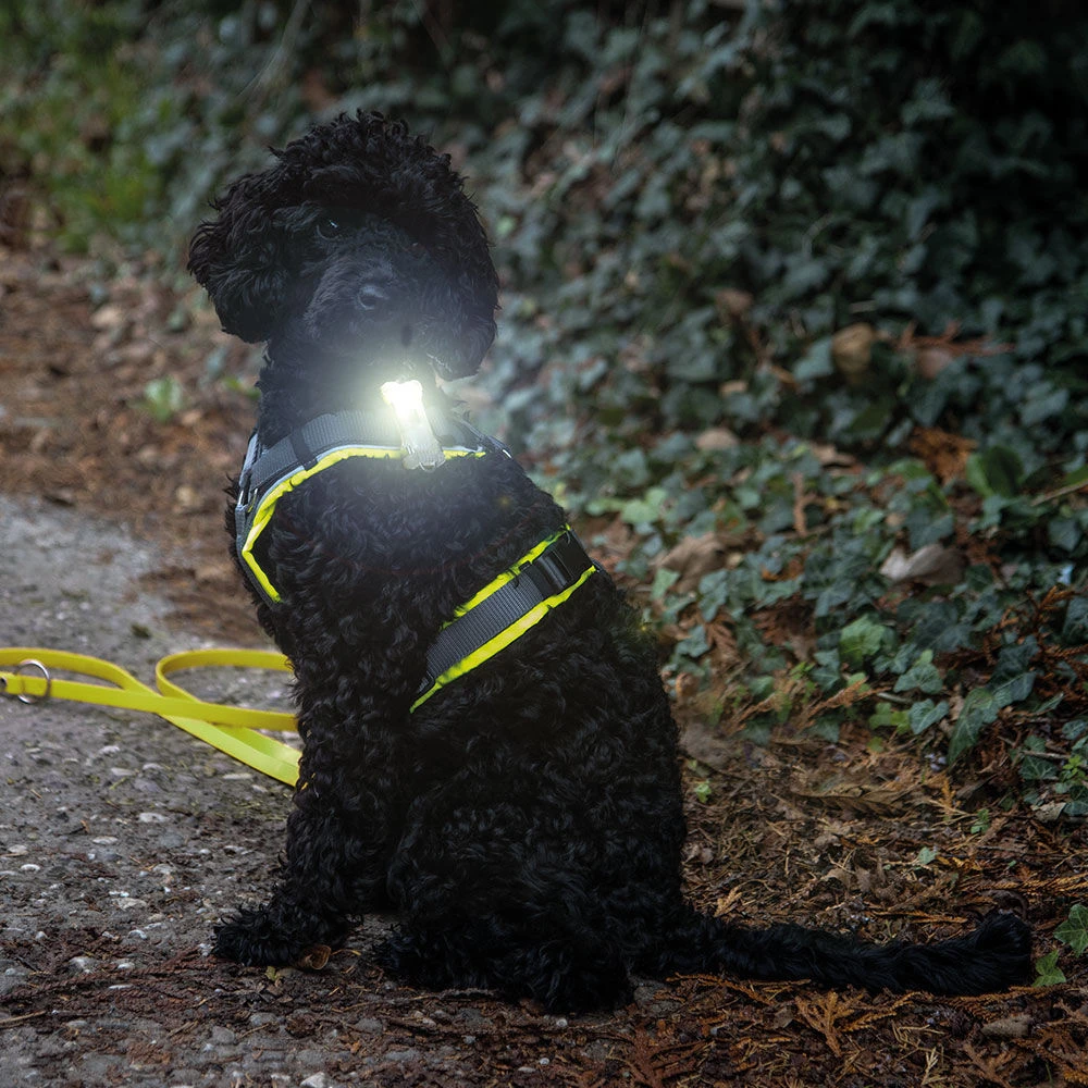 Veiligheidslampje ArmyTek Zippy - Image 3