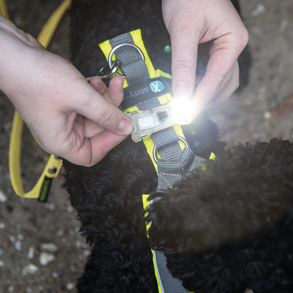 Veiligheidslampje ArmyTek Zippy - Image 4