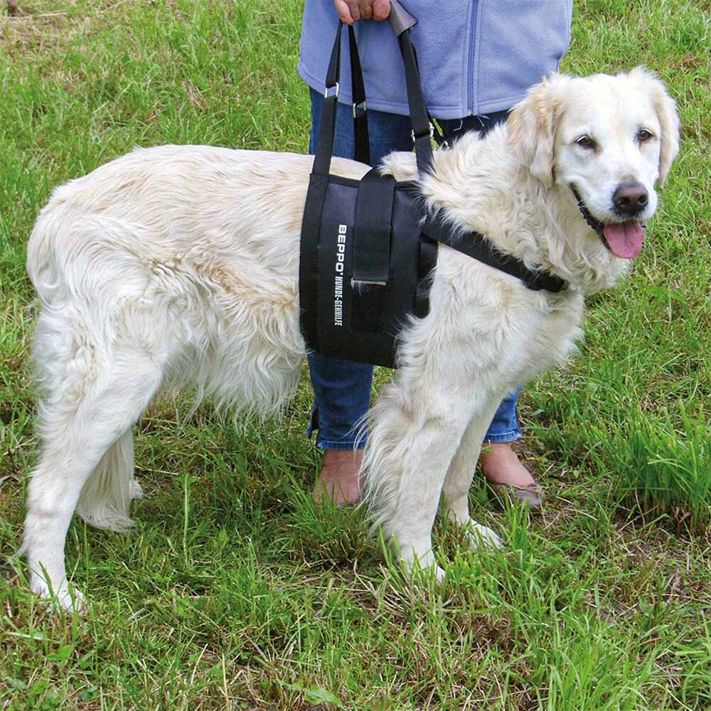 Beppo® Hondenloophulp One-Size - Image 5