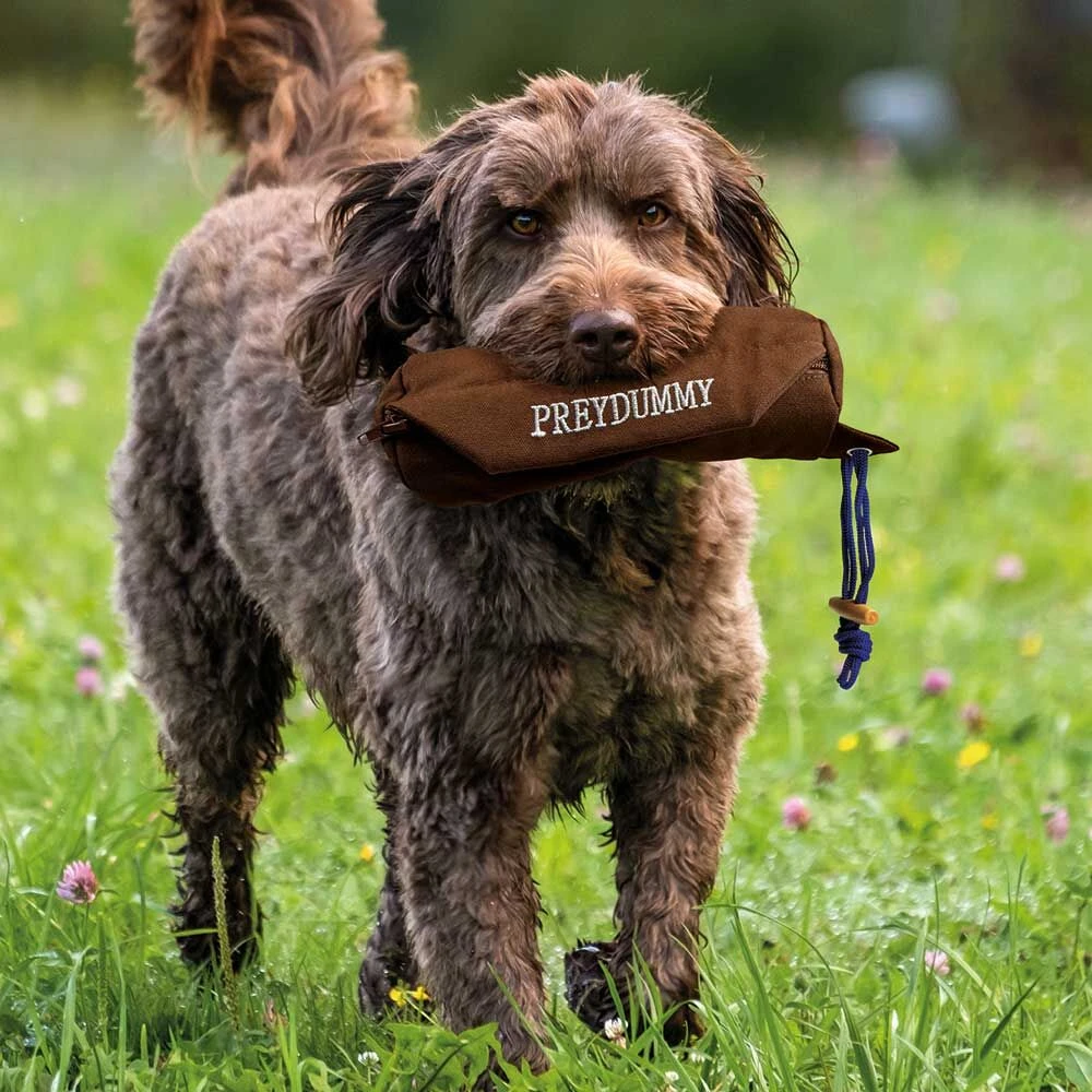 Trixie Preydummy - Image 2