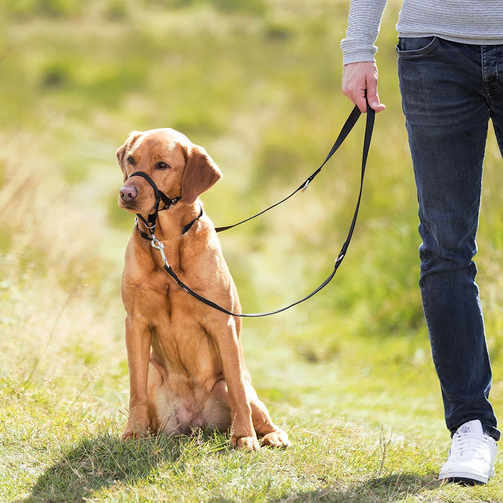 Hondentuig - Trainingsharnas - Image 3