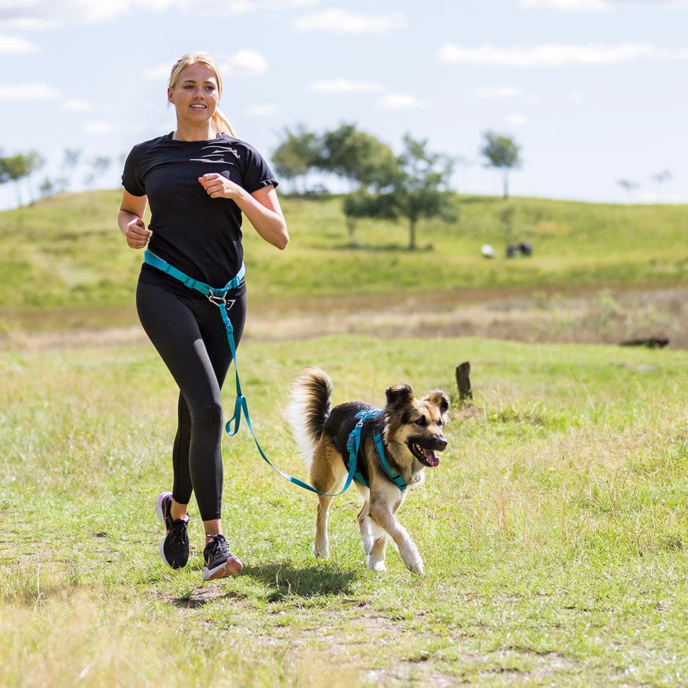 Buikriem Met Lijn - Image 5