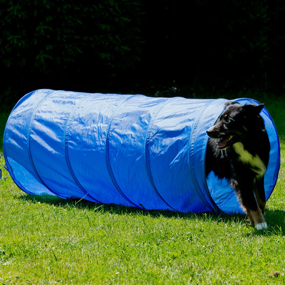 Dog Agility Start-set - Image 3