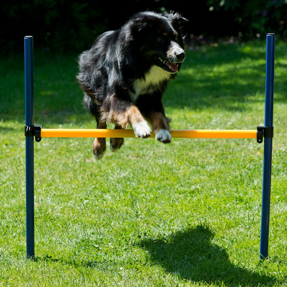 Dog Agility Start-set - Image 5