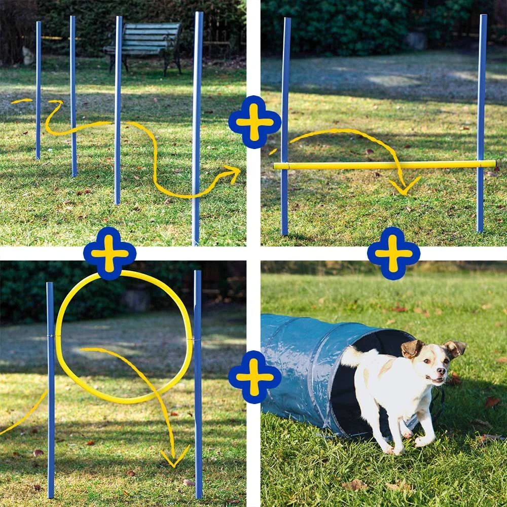 Dog Agility-set S/M - Image 2