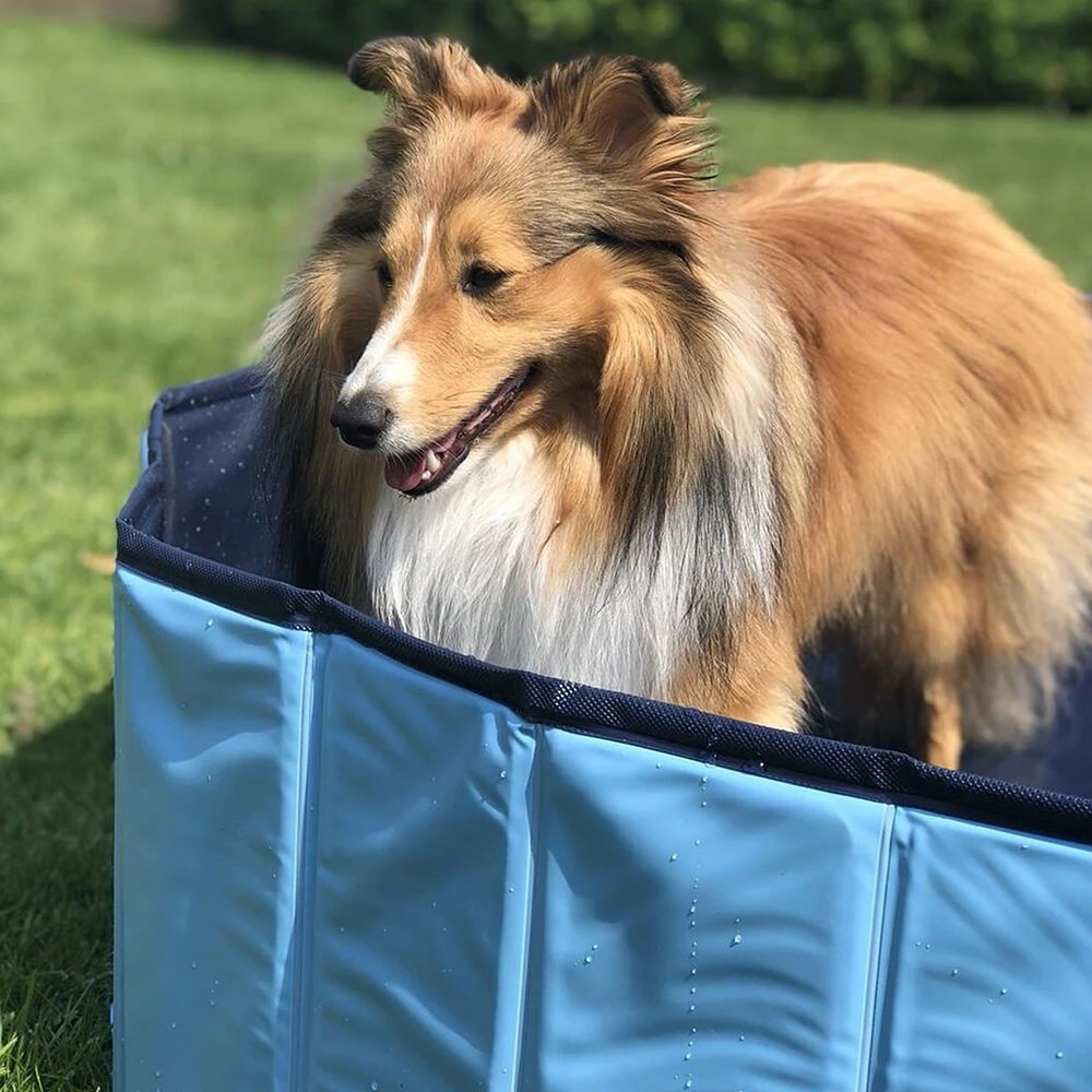 Doggy-Pool - Image 2