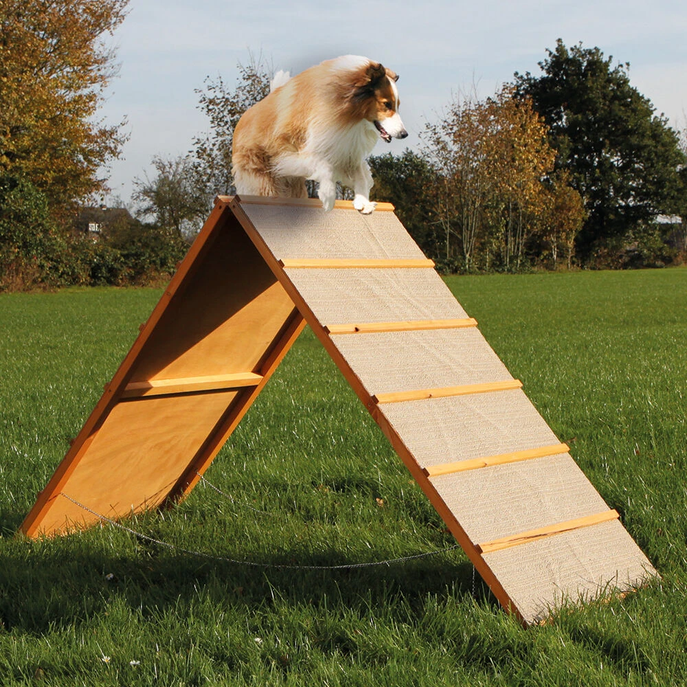 A-schutting Voor Agility