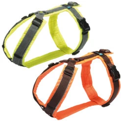 Annyx Protect-tuigje