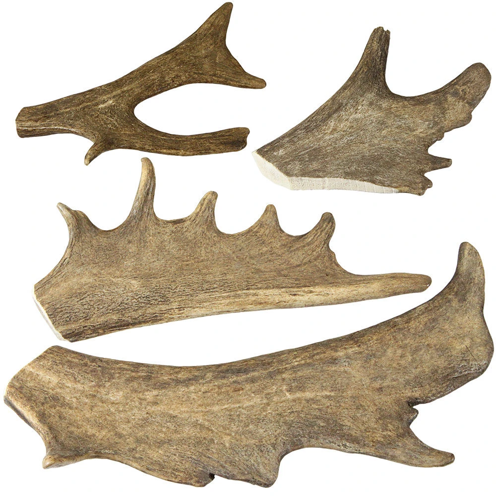 DOGREFORM Damhert-gewei-snack