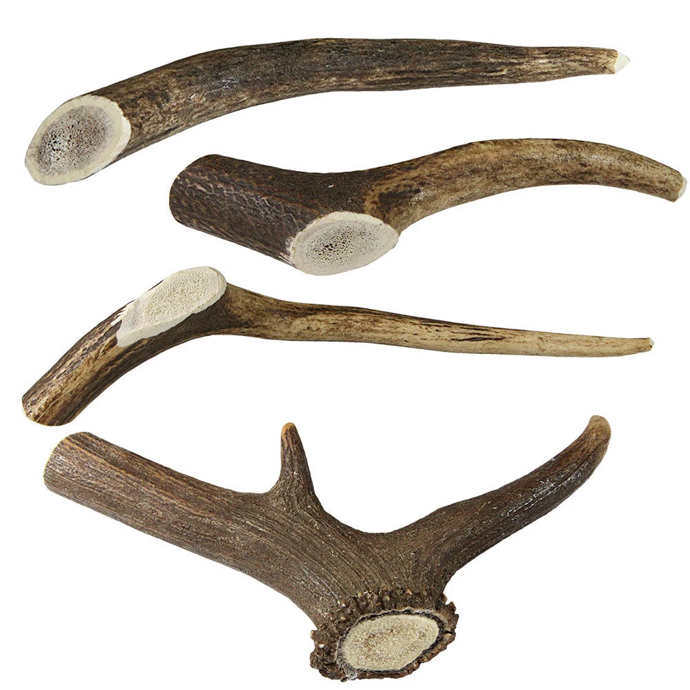 DOGREFORM Edelhert-gewei-snack