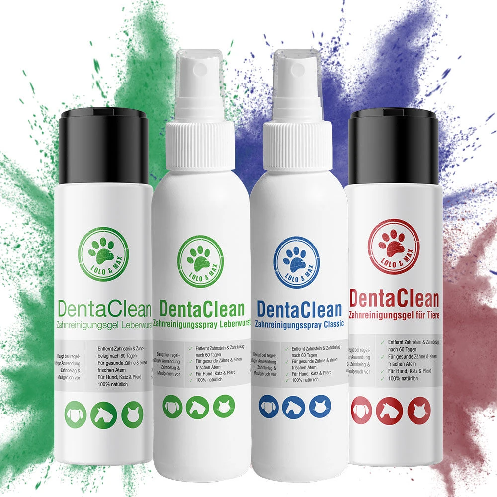 Denta Clean Gebitsreiniging