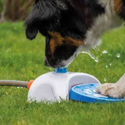 Fontein Voor Honden