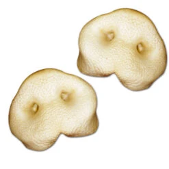 Gepofte Varkensneuzen